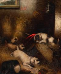 Dogs in Hay