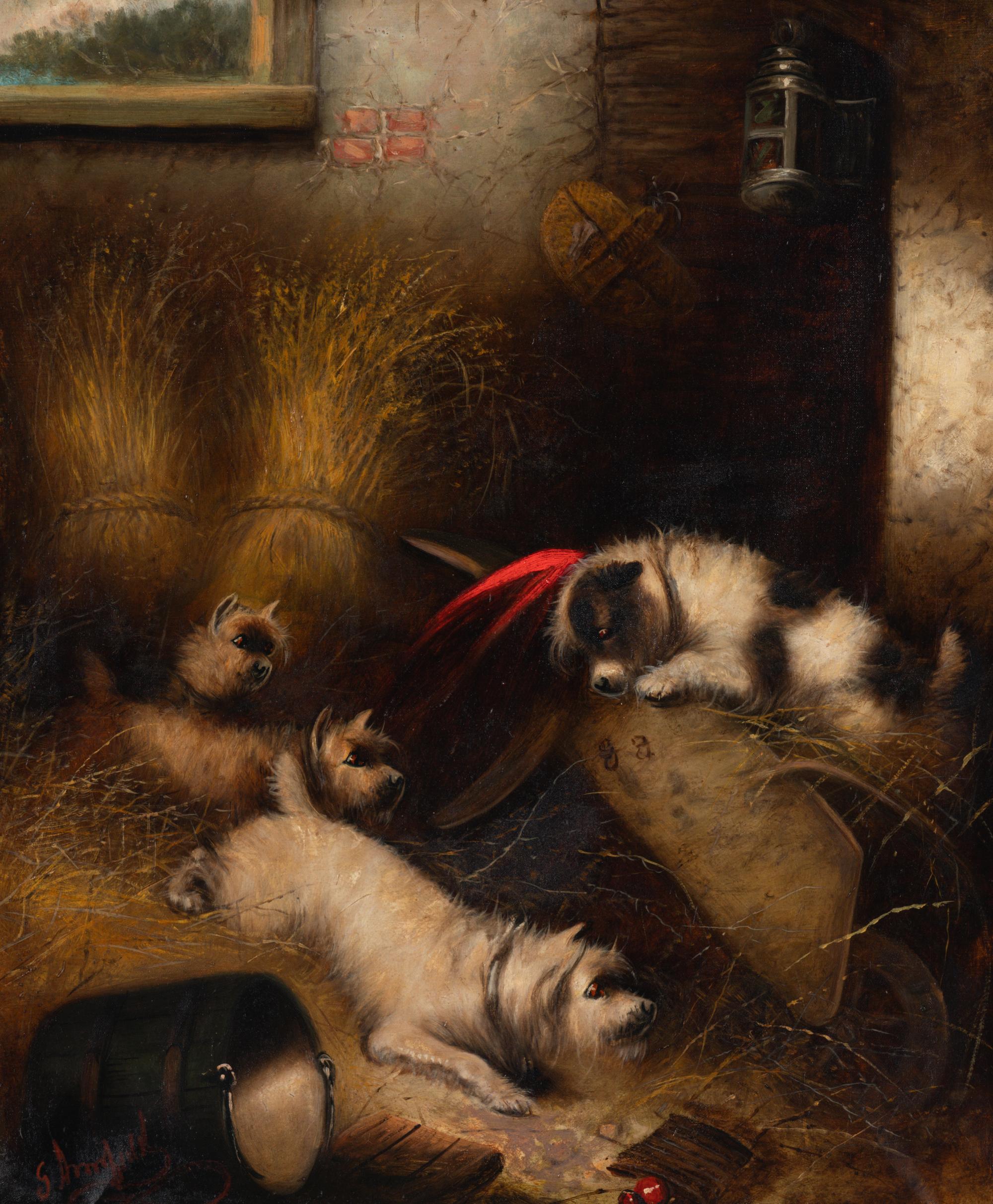Dogs in Hay