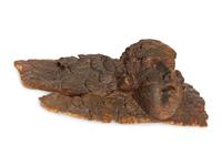 A Continental Baroque Carved Walnut Putto Mask