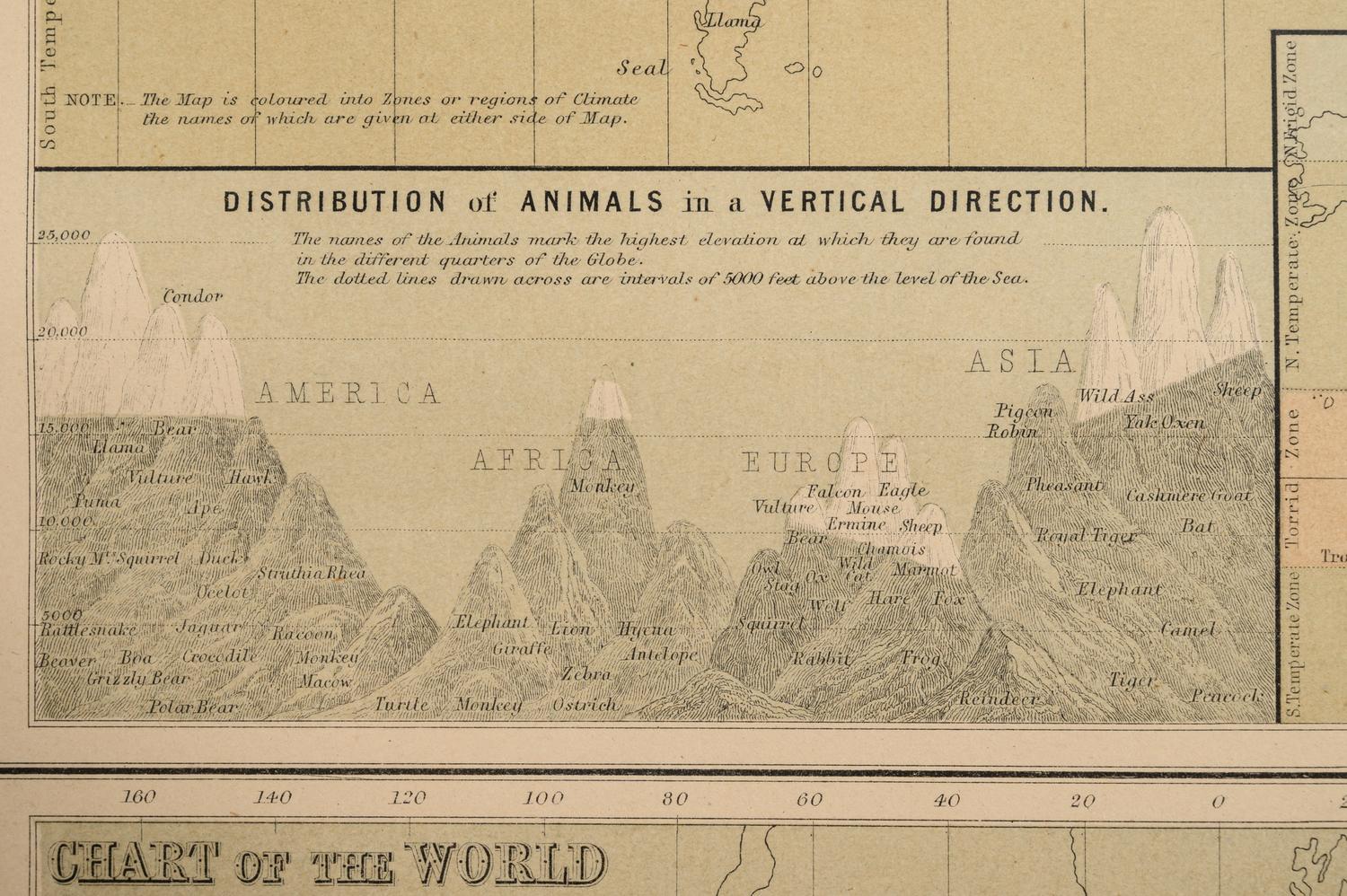 A Group of 11 19th and 20th century maps, comprising:
