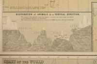 A Group of 11 19th and 20th century maps, comprising: