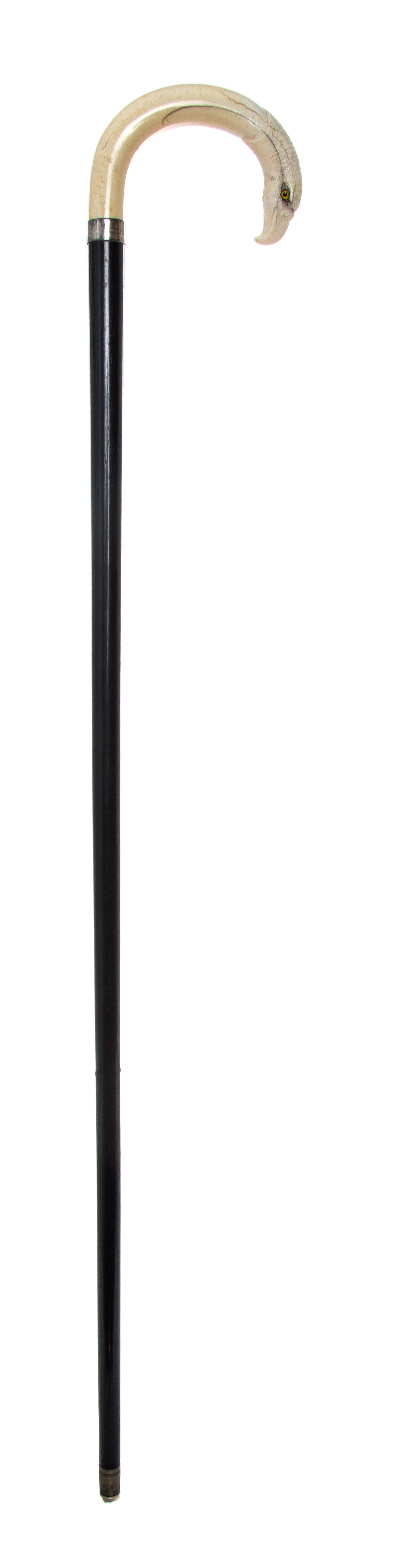 An Ivory Handled Cane, Width of handle 5 x length overall 35 1/4 inches.