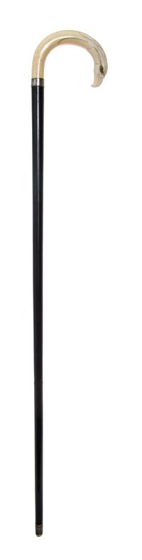 An Ivory Handled Cane, Width of handle 5 x length overall 35 1/4 inches.