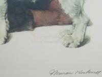 Boy with Two Dogs (Raleigh Rockwell Travels)
