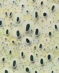 Untitled , 2002
