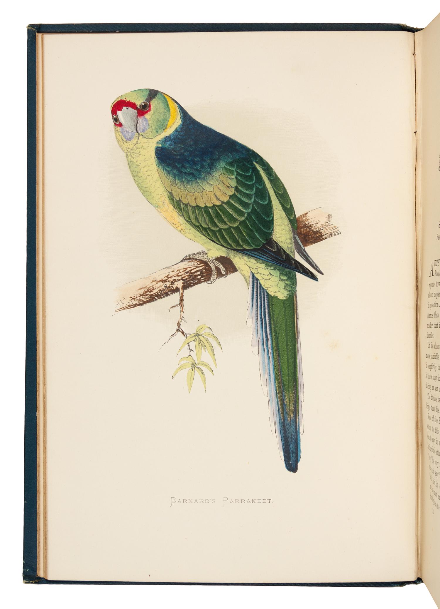 [NATURAL HISTORY]. GREENE, William Thomas. Parrots in Captivity. London: George Bell and Sons, 1884-1887.