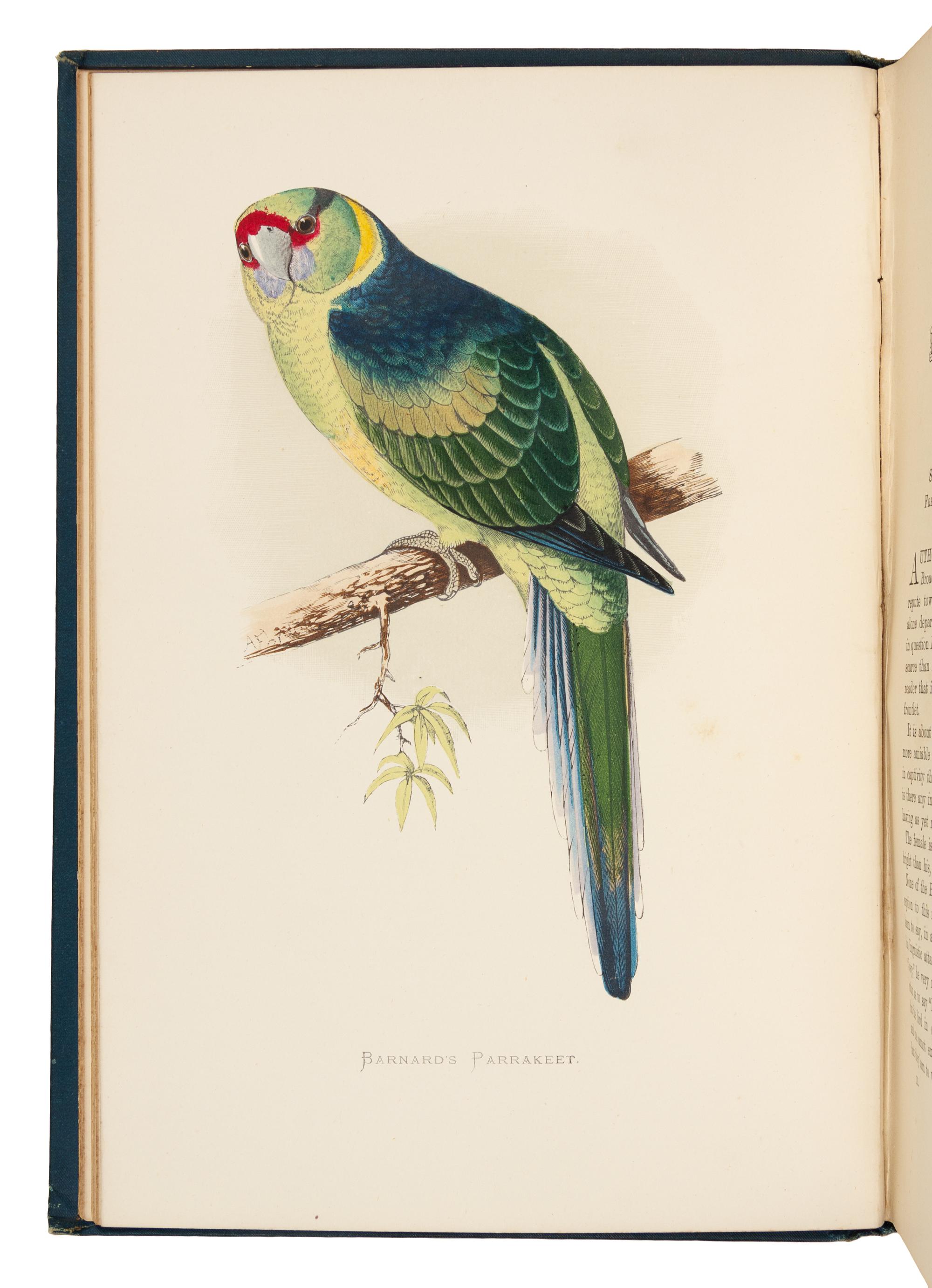 [NATURAL HISTORY]. GREENE, William Thomas. Parrots in Captivity. London: George Bell and Sons, 1884-1887.