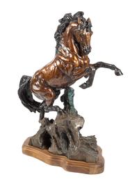 Magnificent Stallion
