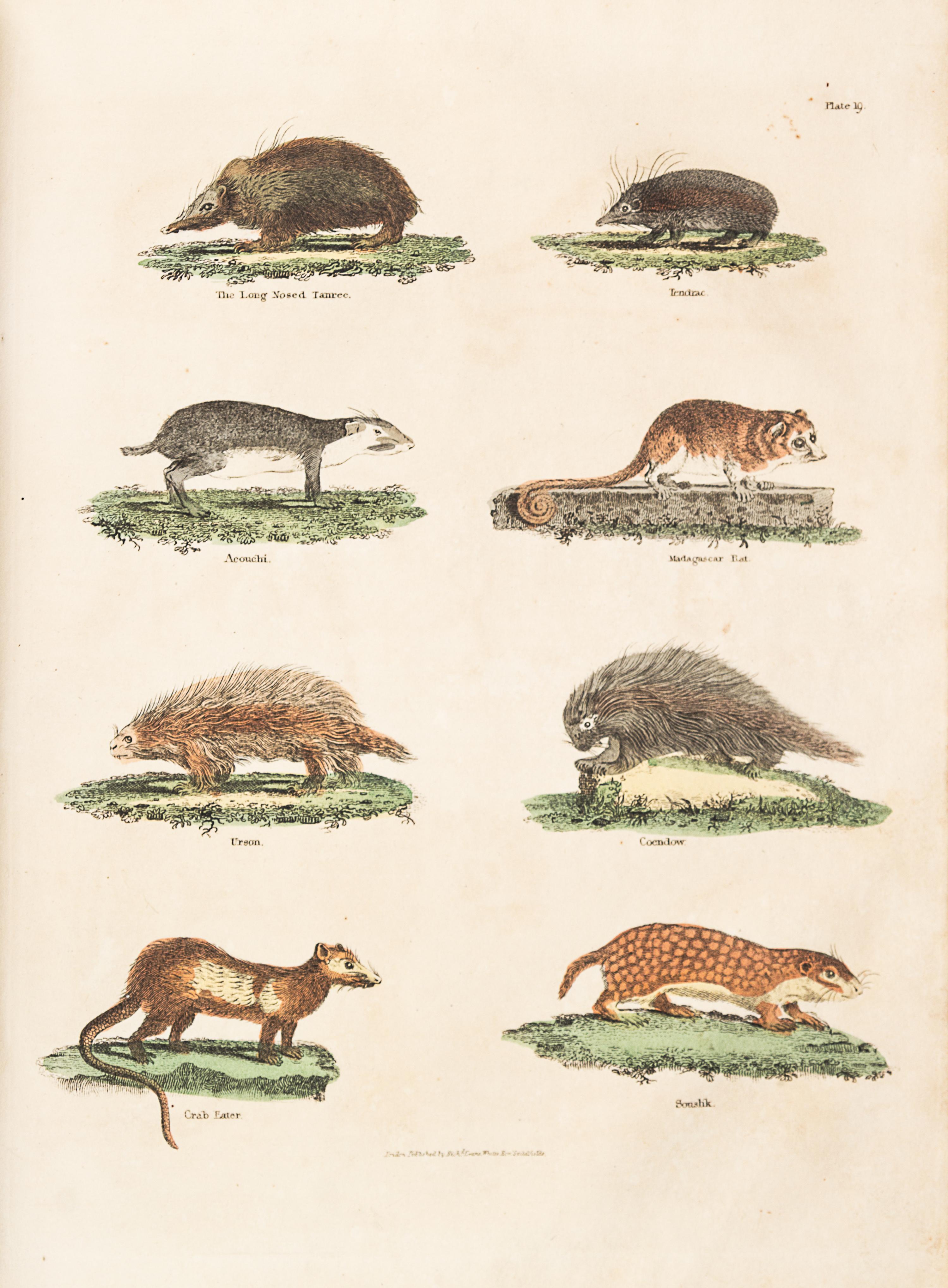 BUFFON, GEORGE LOUIS LECLERC, COMTE DE. A Natural History... London, 1781. 2 (of 8) vols. only.