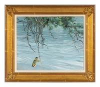 Hummingbirds