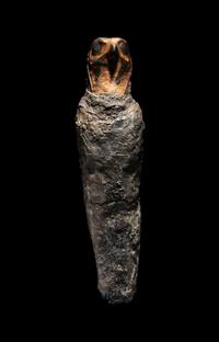 An Egyptian Falcon Mummy