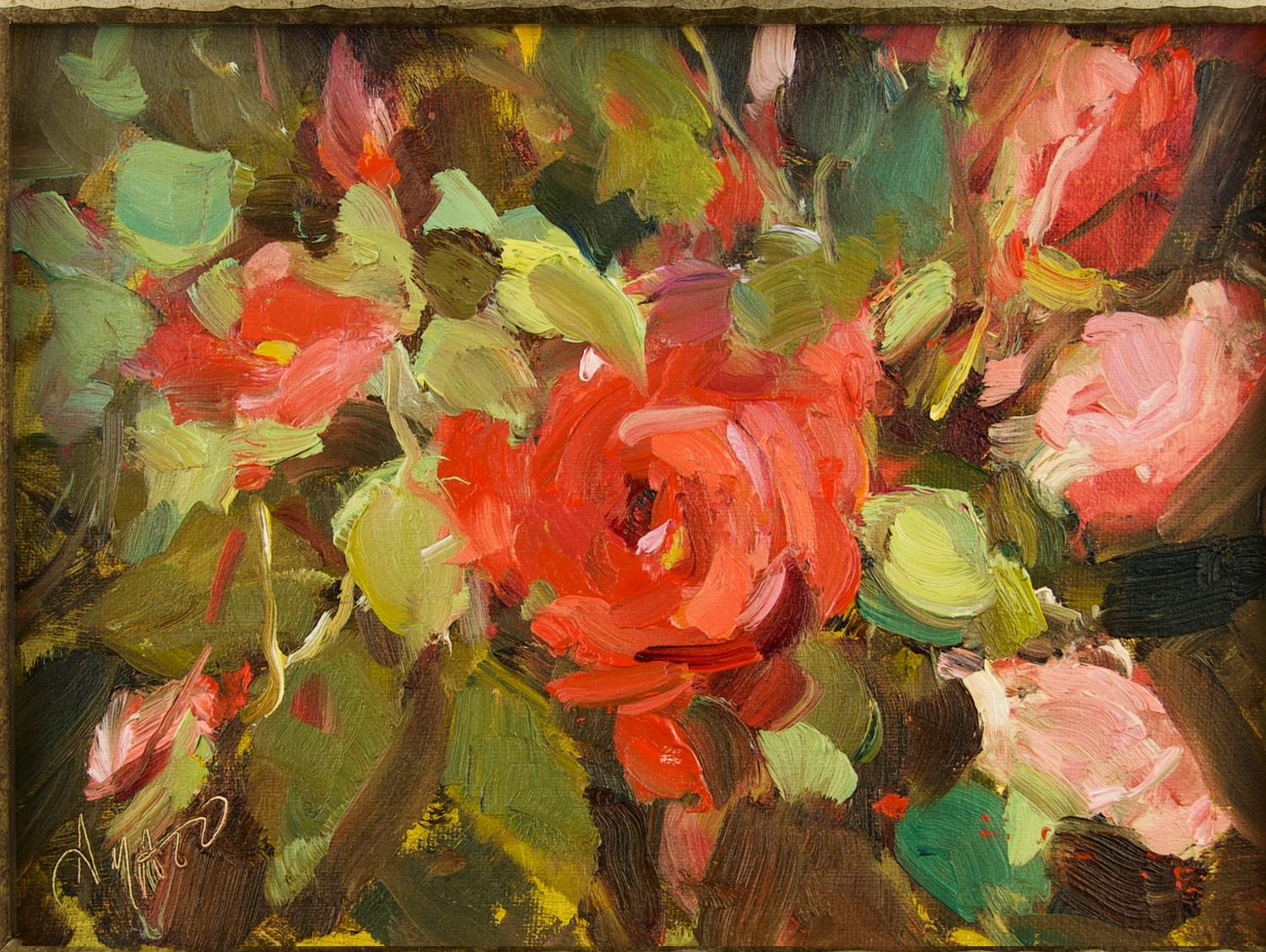 Roses In Bloom