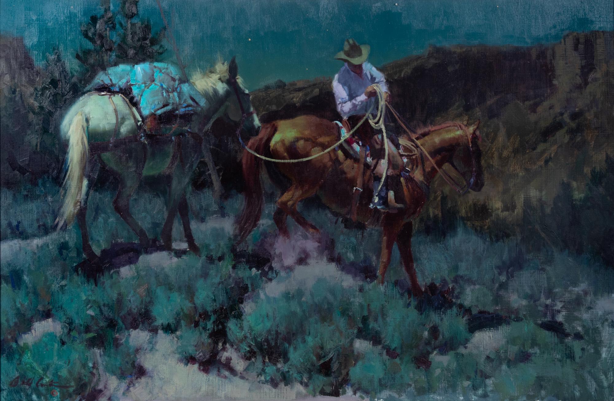 Moonlight Packer