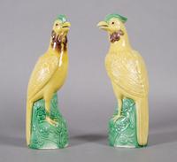 A Pair of Chinese Porcelain Parrots, Height 8 3/8 inches.