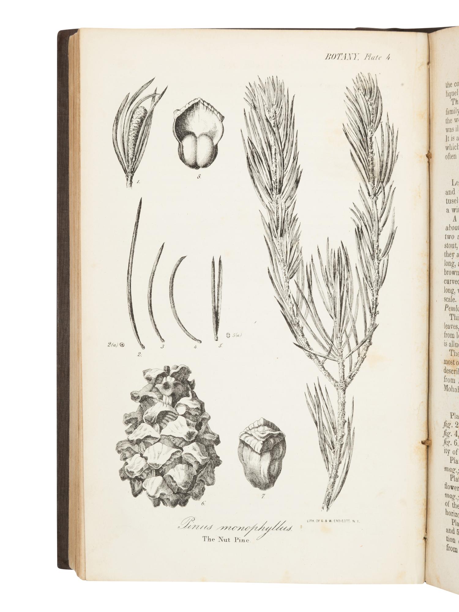 FREMONT, John Charles (1813-1890). Report of The Exploring Expedition to The Rocky Mountains in the year 1842, and to Oregon and North California in the years 1843-'44 . Washington, D. C.: Printed by Order of the House of Representatives, by Blair and Rives, 1845.
