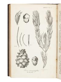 FREMONT, John Charles (1813-1890). Report of The Exploring Expedition to The Rocky Mountains in the year 1842, and to Oregon and North California in the years 1843-'44 . Washington, D. C.: Printed by Order of the House of Representatives, by Blair and Rives, 1845.