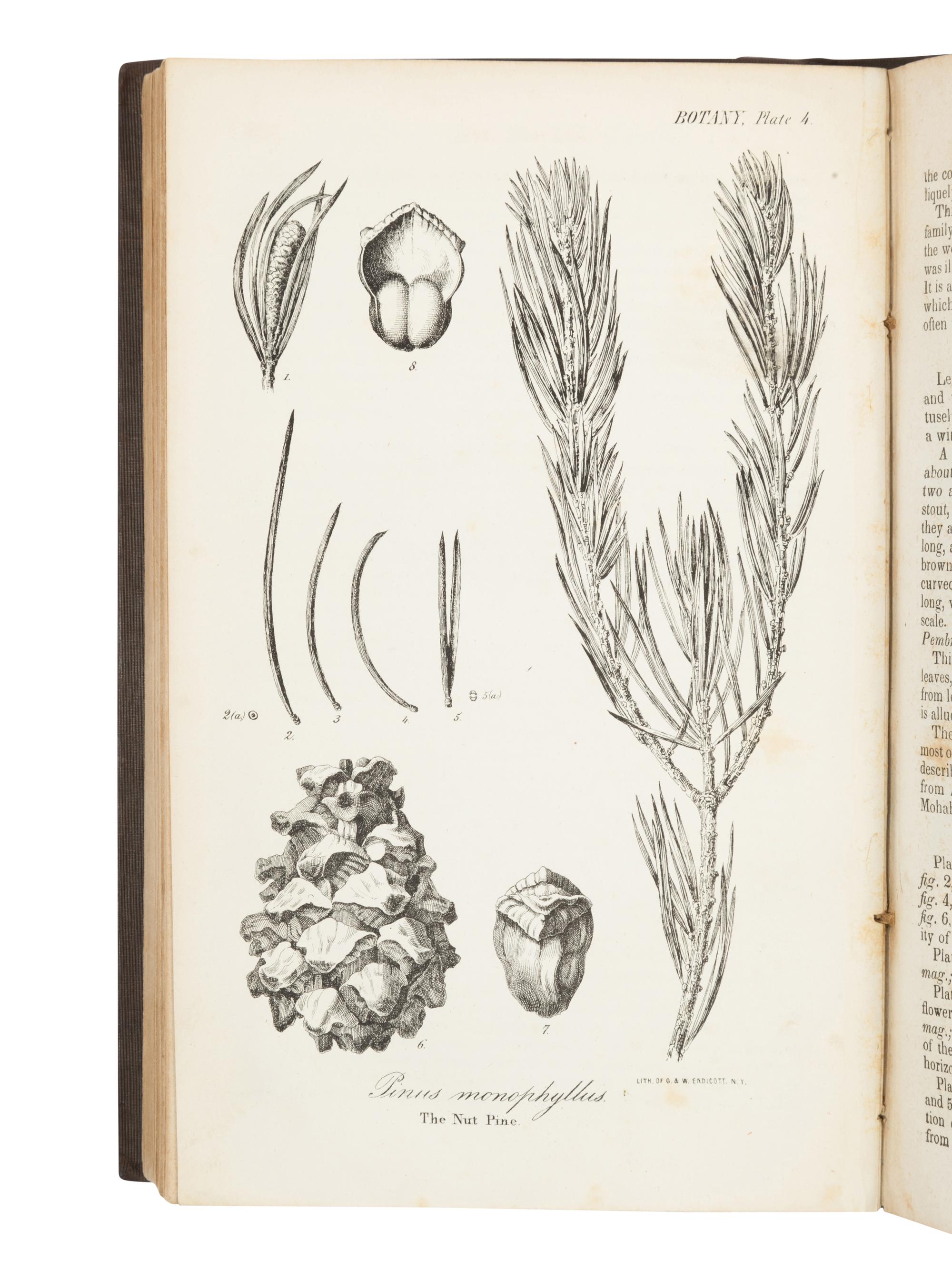 FREMONT, John Charles (1813-1890). Report of The Exploring Expedition to The Rocky Mountains in the year 1842, and to Oregon and North California in the years 1843-'44 . Washington, D. C.: Printed by Order of the House of Representatives, by Blair and Rives, 1845.