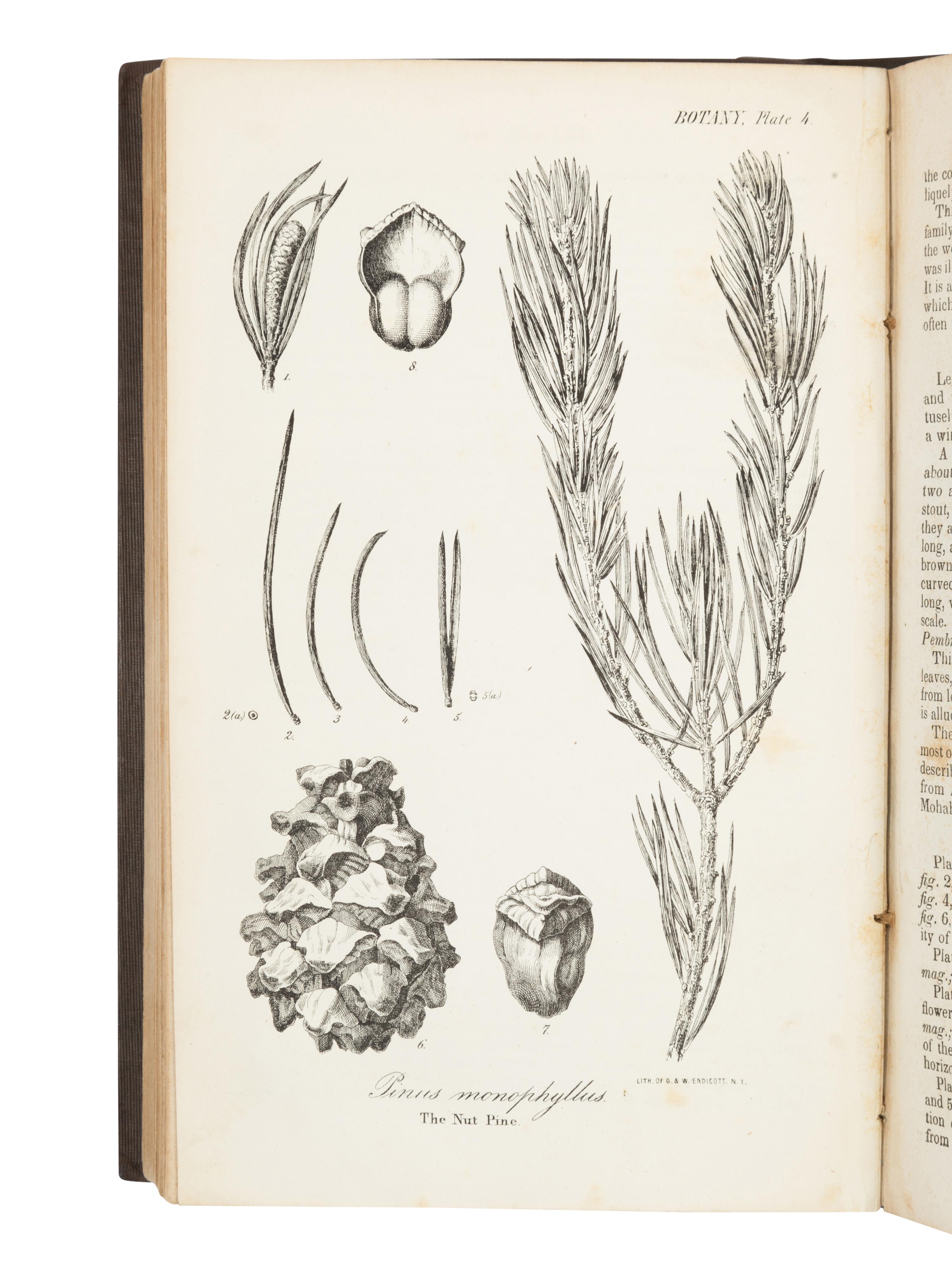 FREMONT, John Charles (1813-1890). Report of The Exploring Expedition to The Rocky Mountains in the year 1842, and to Oregon and North California in the years 1843-'44 . Washington, D. C.: Printed by Order of the House of Representatives, by Blair and Rives, 1845.