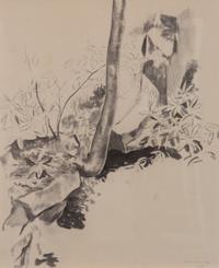 Edge of Ravine, 1938