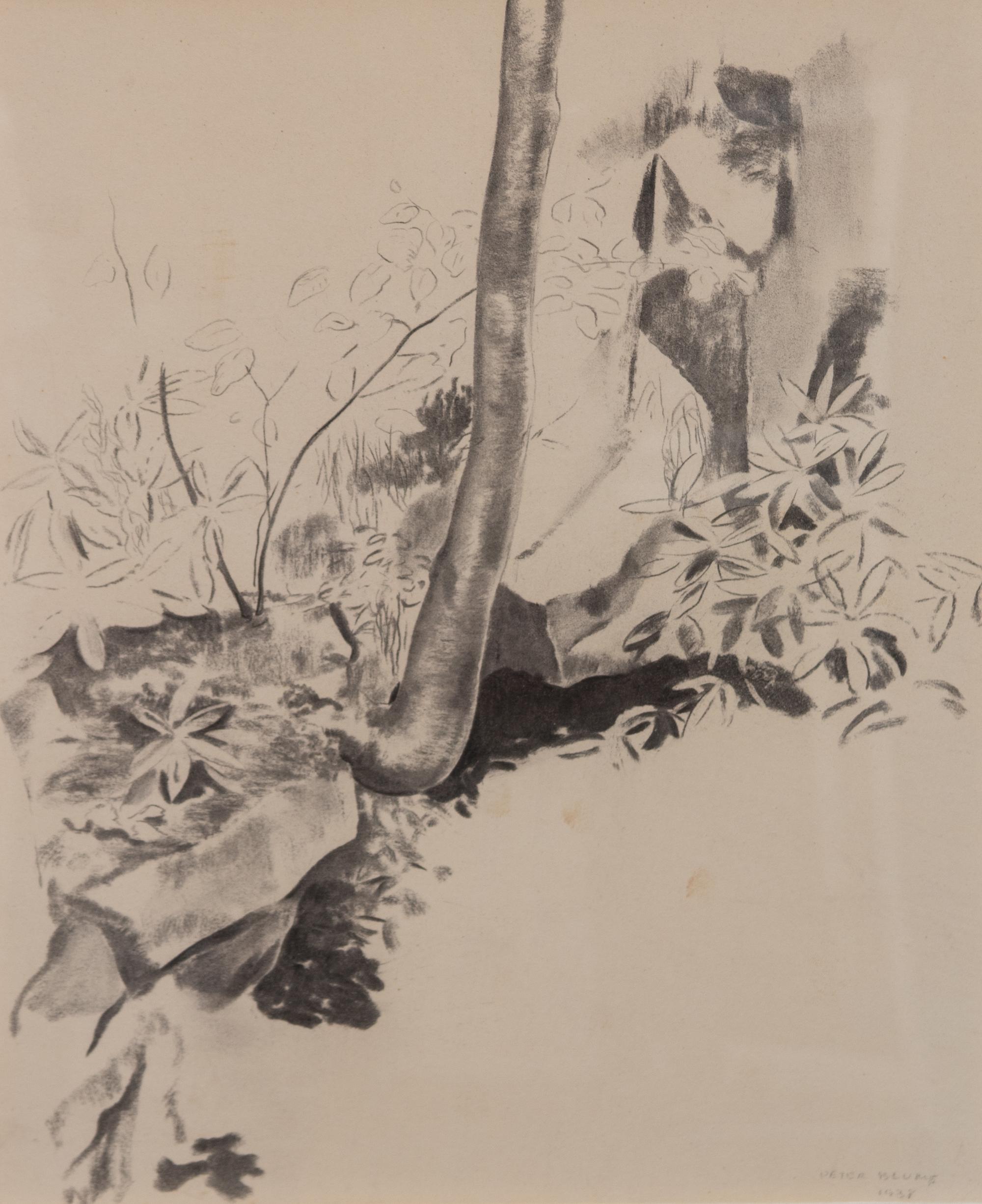 Edge of Ravine, 1938