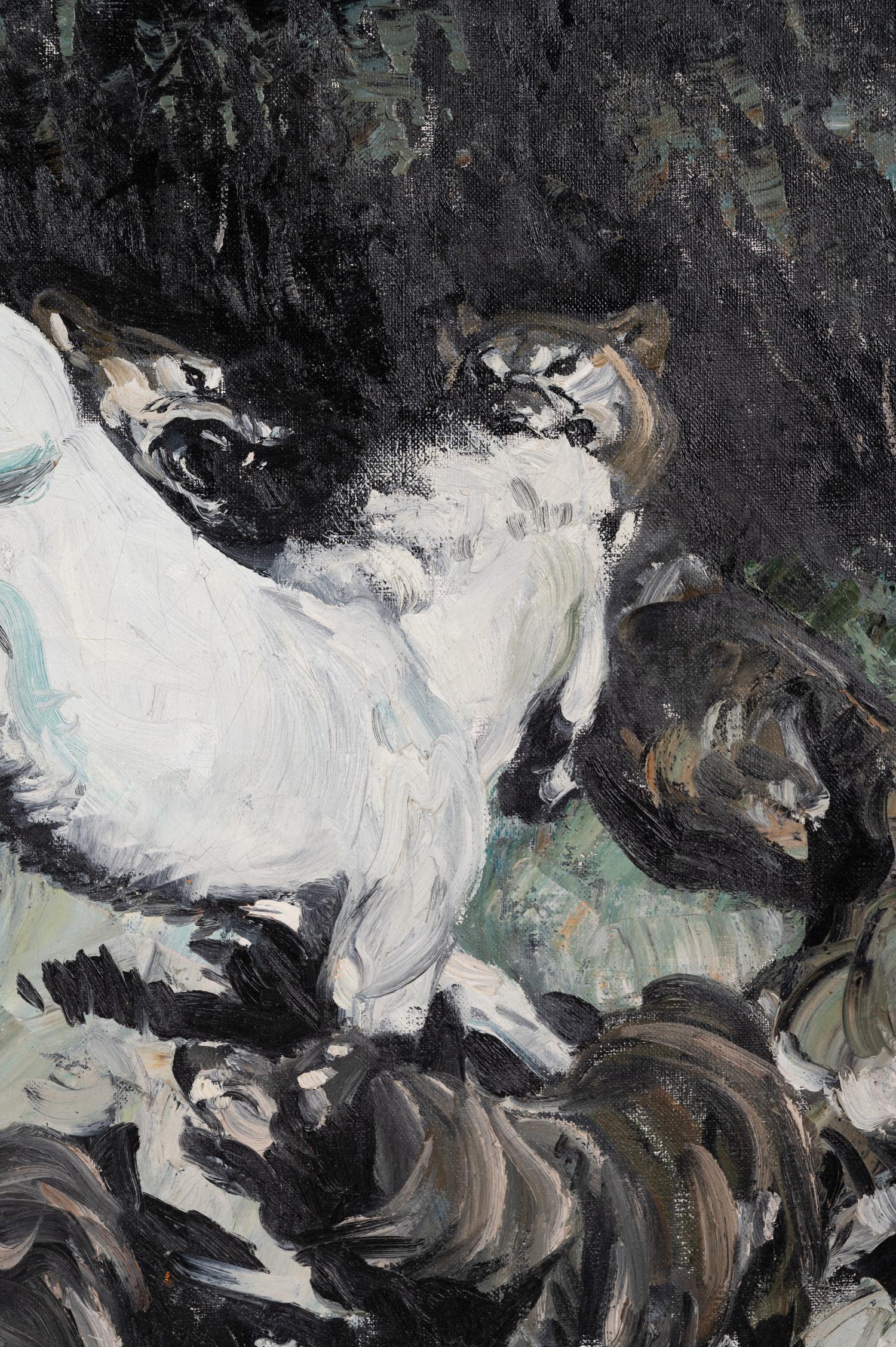 The White Pony