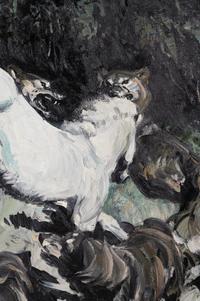 The White Pony
