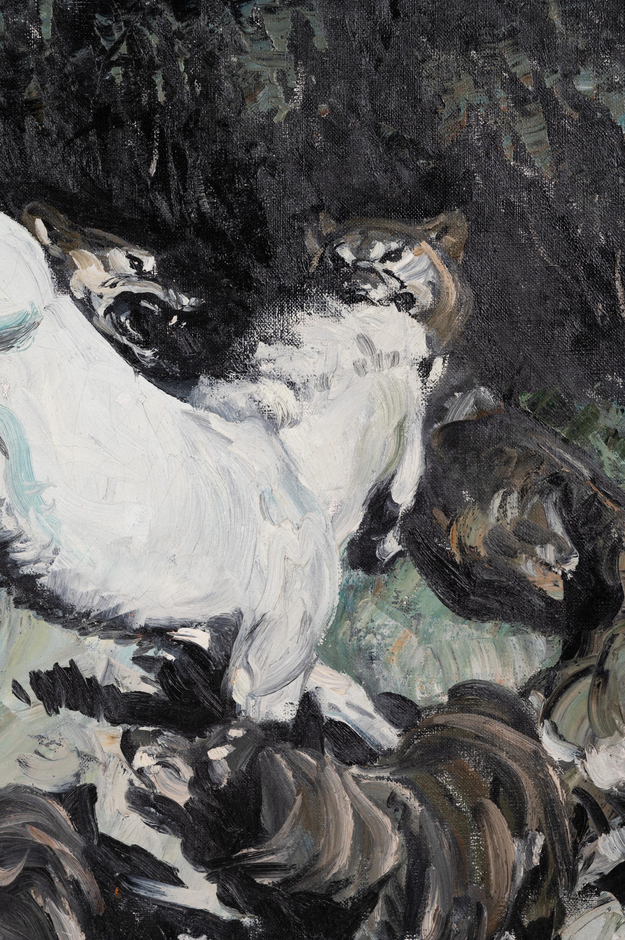 The White Pony