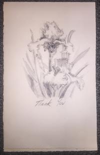 Sherry Maurer, (American, 20th century), Irises