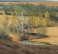Flint Hills Symphony