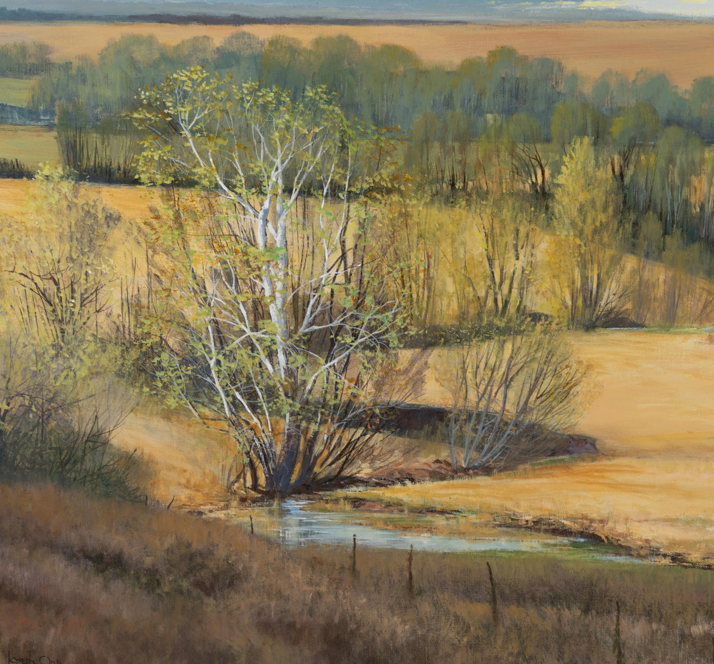 Flint Hills Symphony