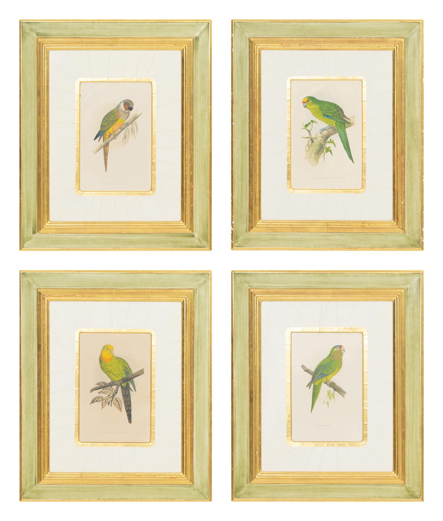 A Set of Four Framed Prints Depicting Parrots