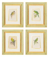 A Set of Four Framed Prints Depicting Parrots