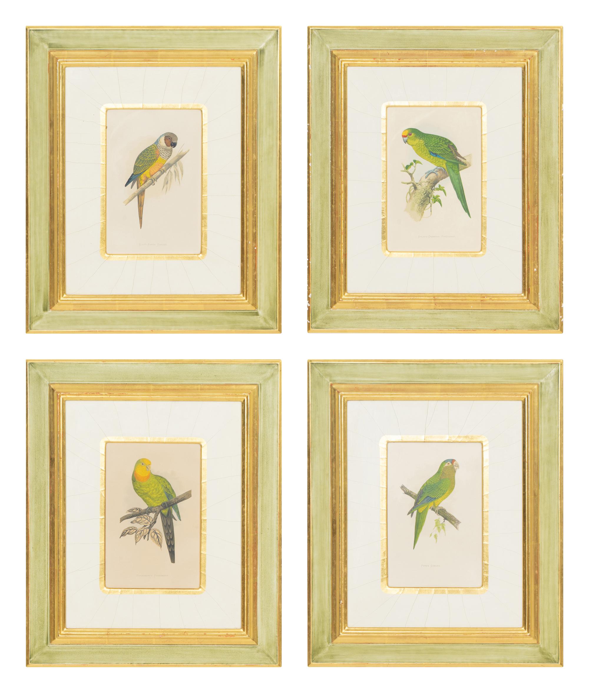 A Set of Four Framed Prints Depicting Parrots