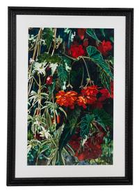 Summer Tapestry