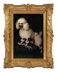 Mrs. Cleveland Greenway's "Rosette Blanche" (Zita)