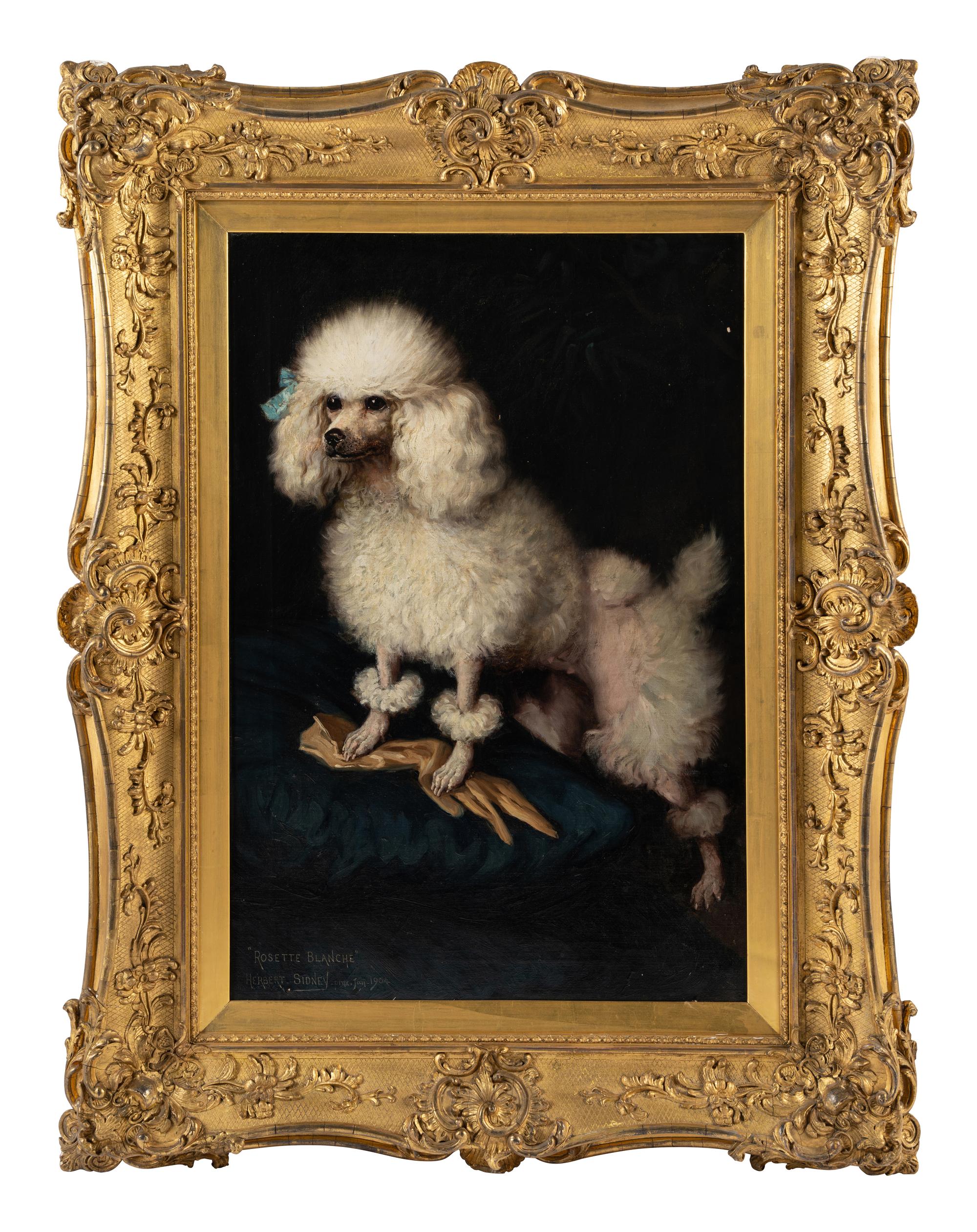 Mrs. Cleveland Greenway's "Rosette Blanche" (Zita)
