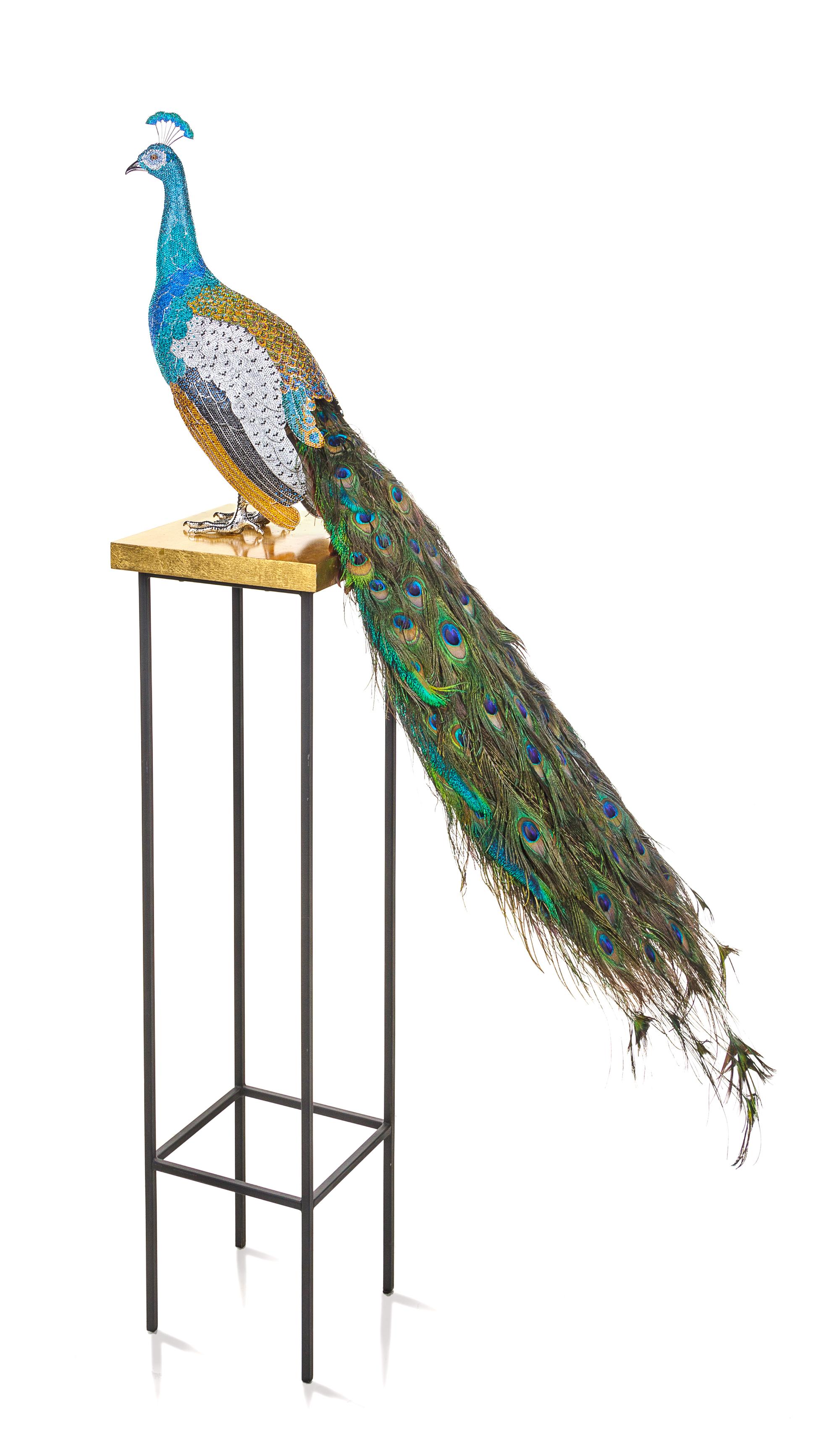 Swarovski Crystal Peacock
