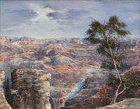Grand Canyon View