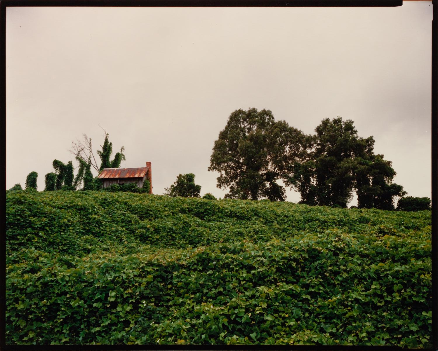 A group of three photographs ( Kudzu and House, Tuscaloosa County, Alabama, 1980; Church Sprott, Alabama, 1981; The Bar B-Q Inn, Greensboro, Alabama, 1971)