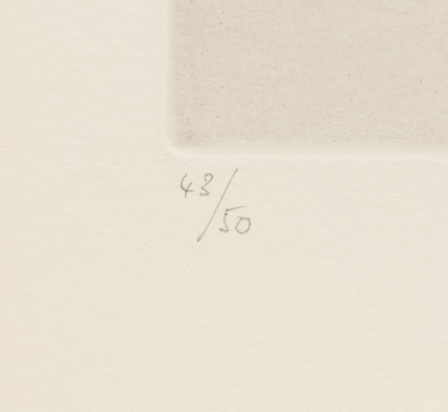 Raphaël et la Fornarina. V: Avec voyeur écartant le rideau (pl. 300 from the 347 Series)