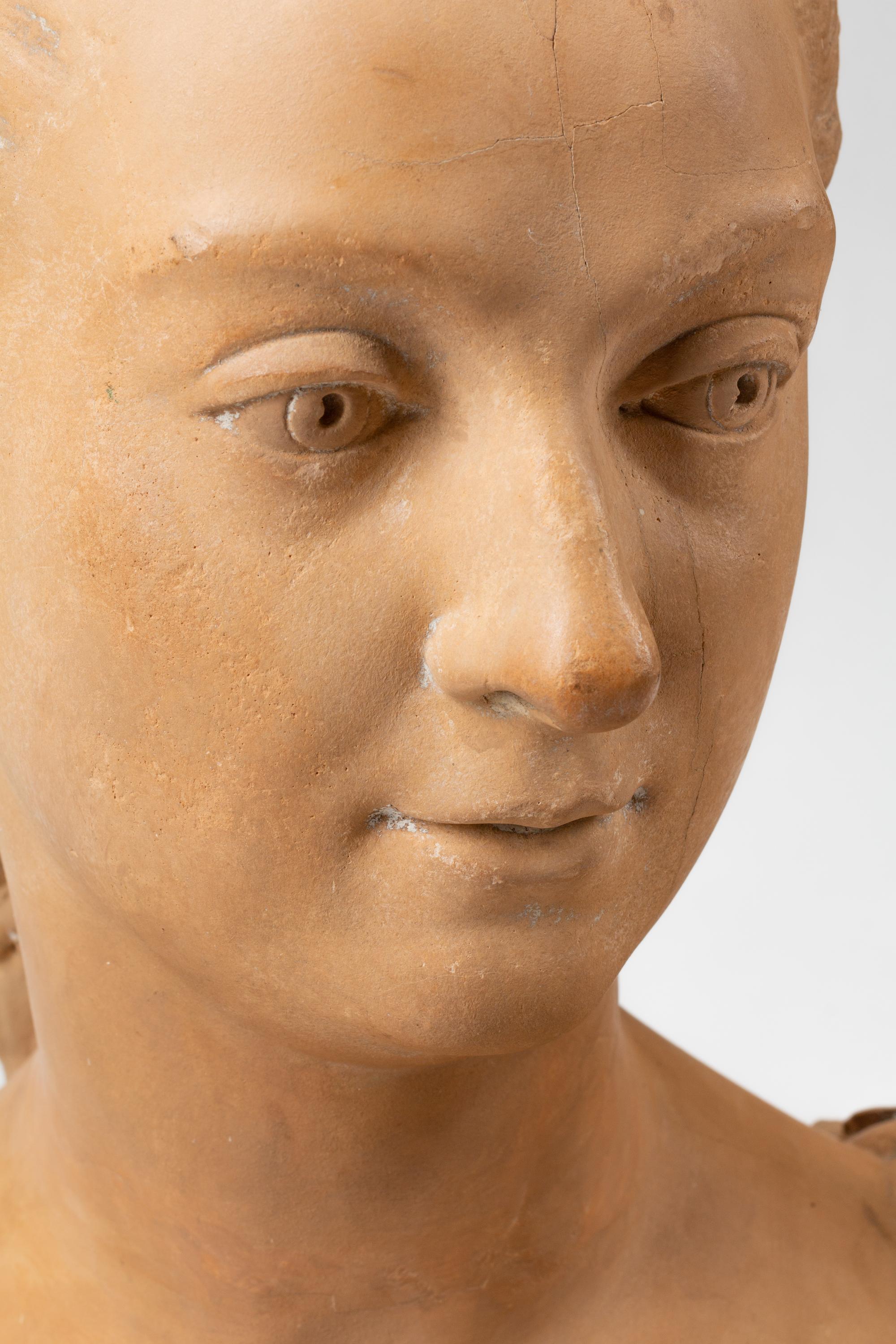 A French Terra Cotta Bust