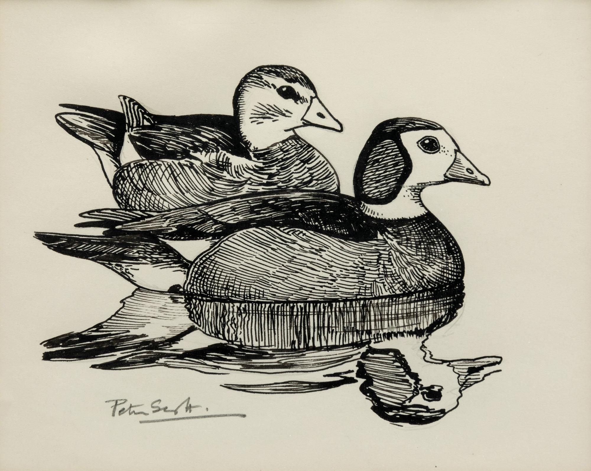 Pigmy Geese
