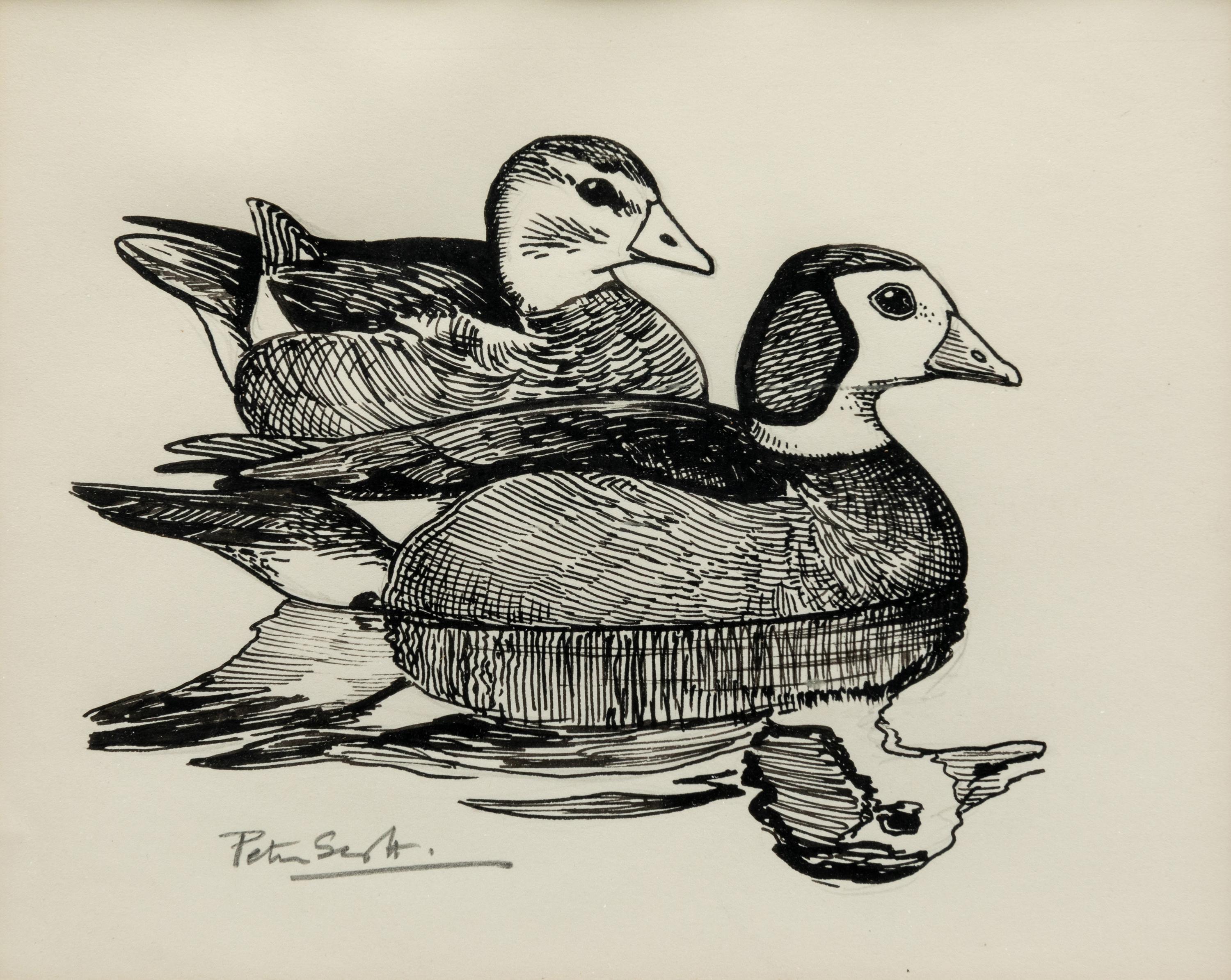 Pigmy Geese