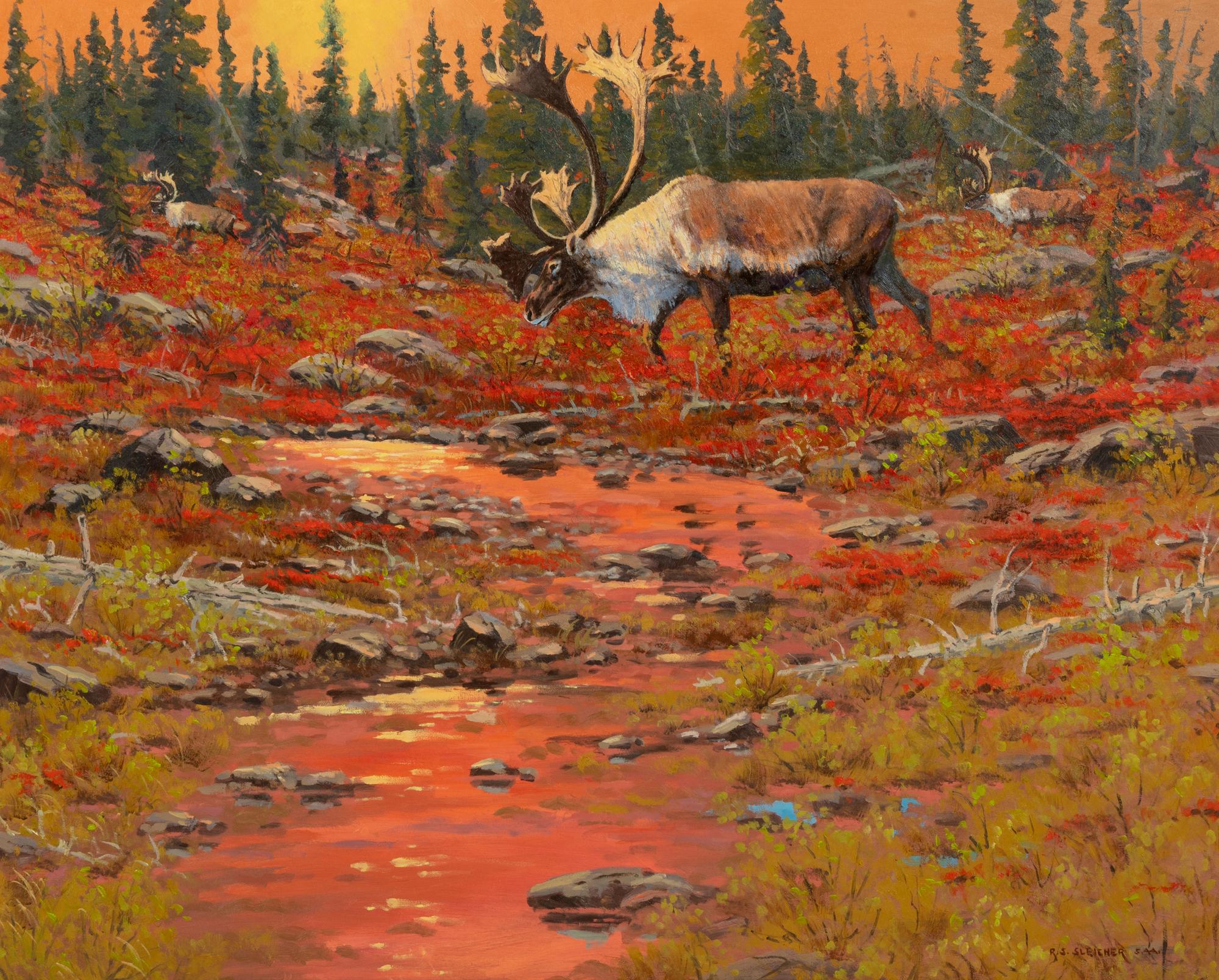 Barren-Ground Caribu and Autumn Tundra , 2001