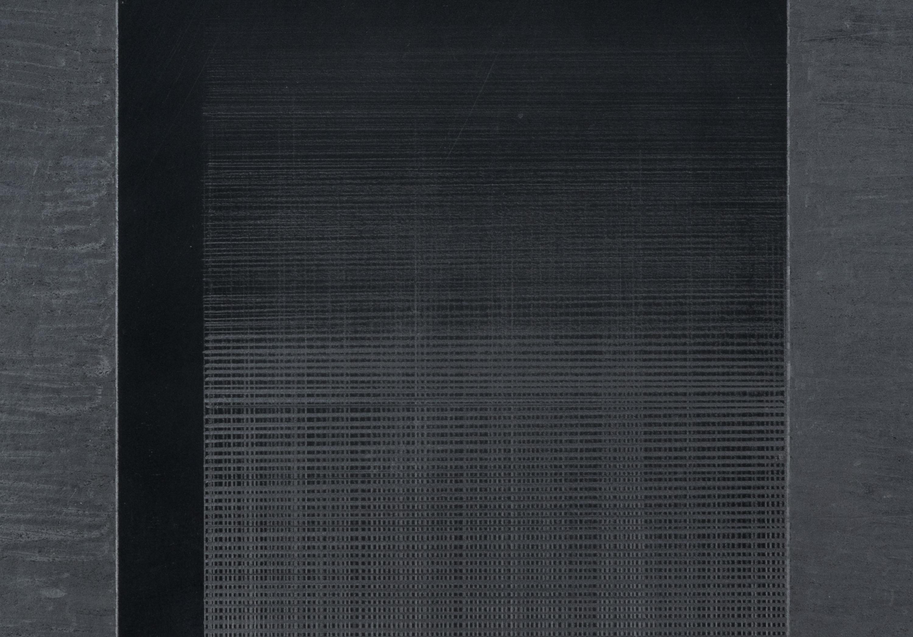 Bild 12/Fur/S,W,B # 4, 1979 (diptych)