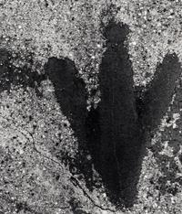 Aaron Siskind (1903-1991) Chicago 22, 1952