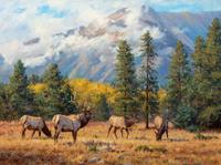 Autumn in the Rockies