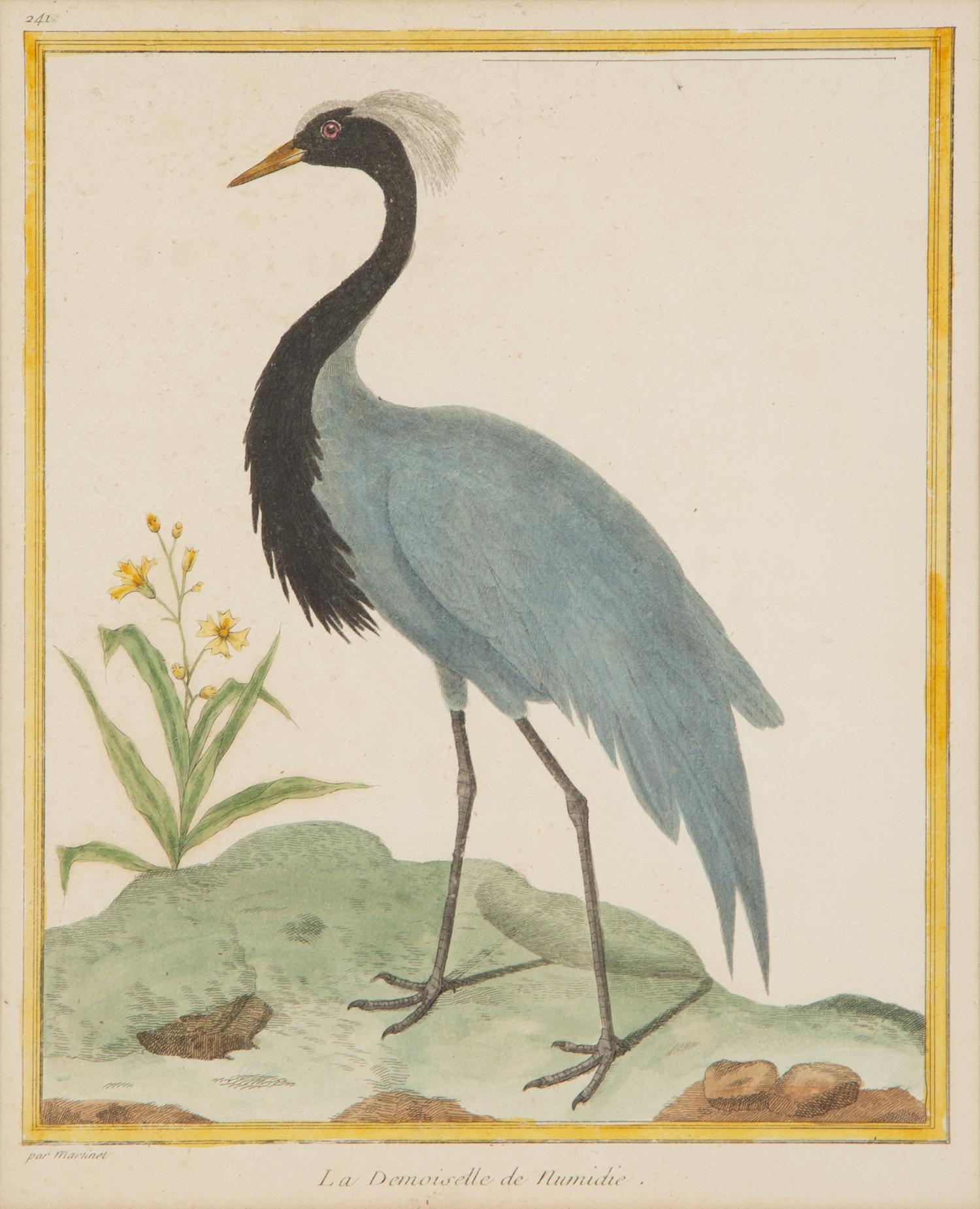 Four Bird Prints after Francoise Martinet's Histoire Naturelle Des Oiseaux — 20TH CENTURY