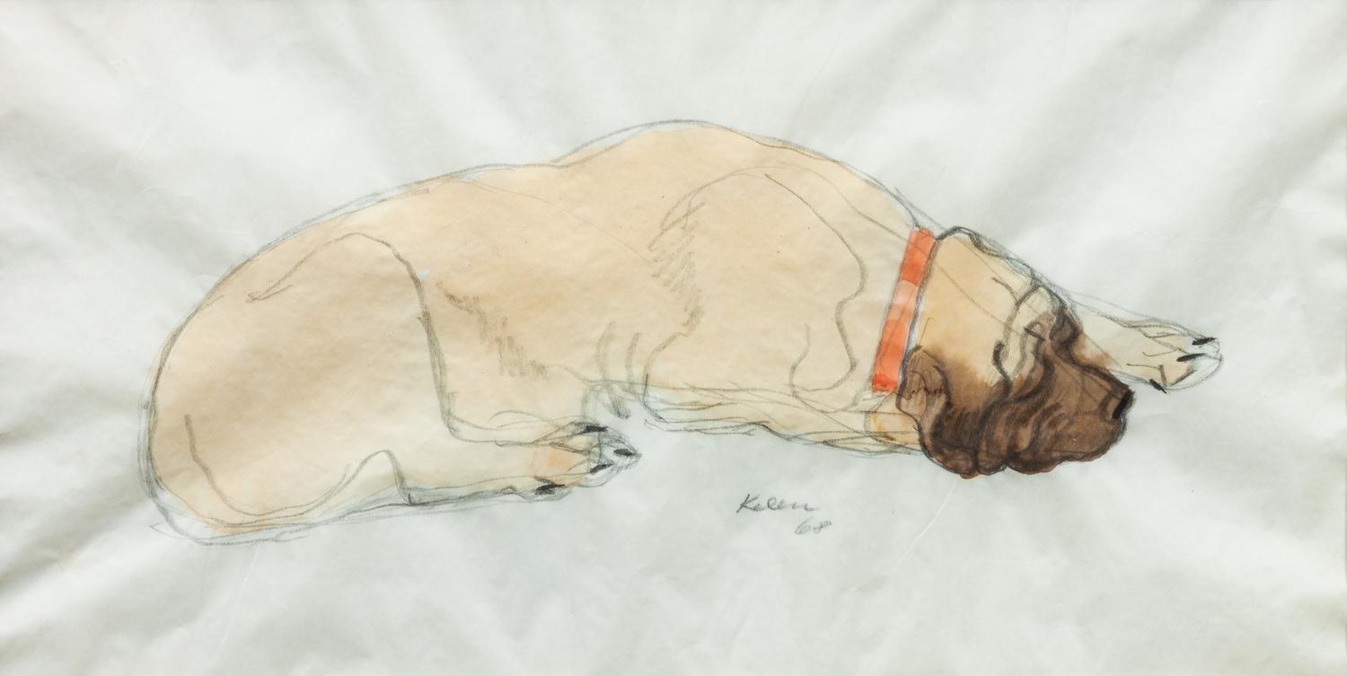 Fourteen Mixed Media Drawings of Mastiffs Largest: 24 x 18 inches.