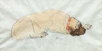 Fourteen Mixed Media Drawings of Mastiffs Largest: 24 x 18 inches.